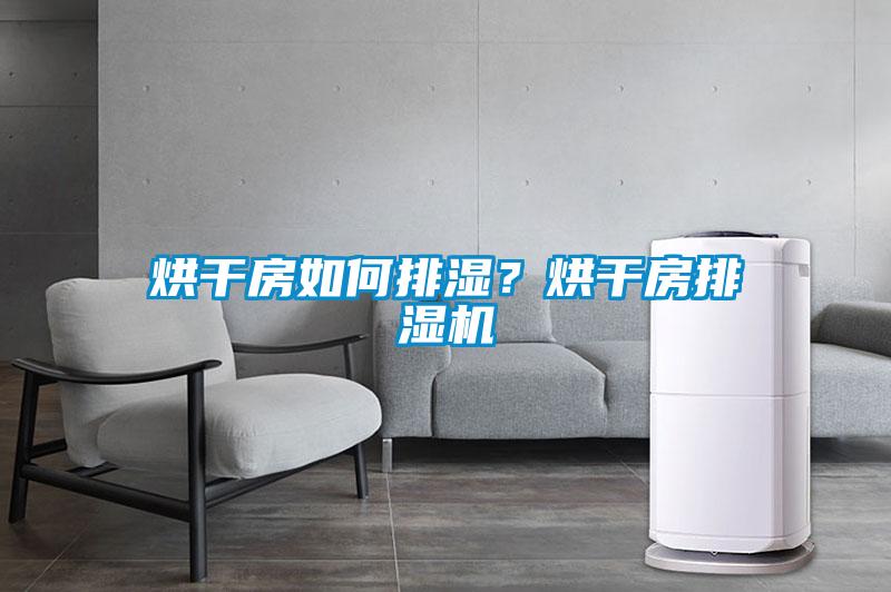 烘干房如何排濕？烘干房排濕機