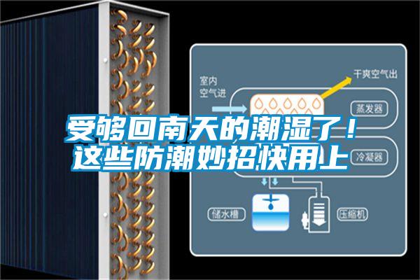 受夠回南天的潮濕了！這些防潮妙招快用上