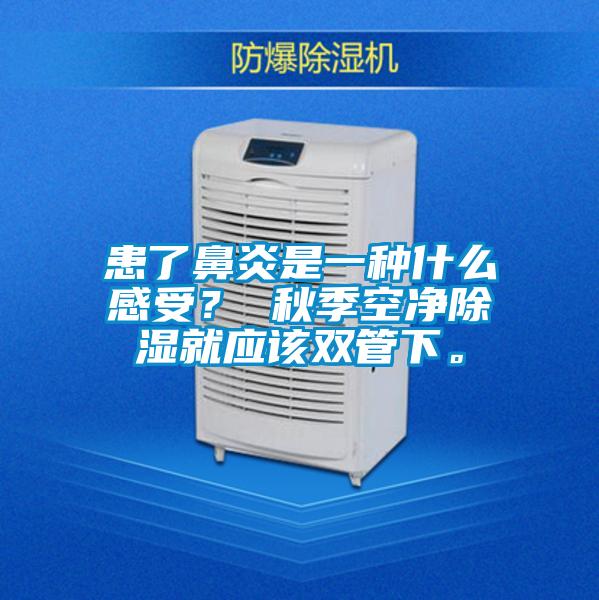 患了鼻炎是一種什么感受？ 秋季空凈除濕就應(yīng)該雙管下。
