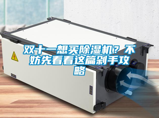 雙十一想買除濕機(jī)？不妨先看看這篇剁手攻略