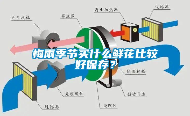 梅雨季節(jié)買什么鮮花比較好保存？