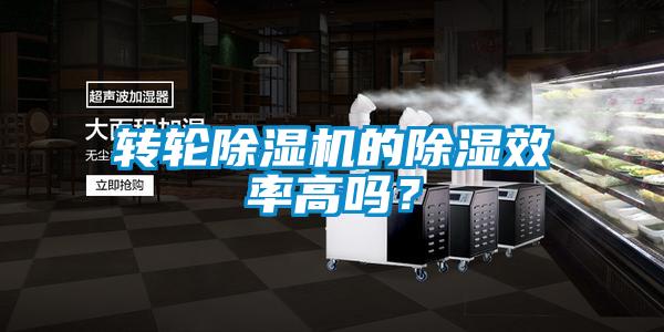 轉輪除濕機的除濕效率高嗎？