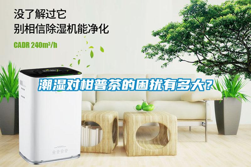 潮濕對(duì)柑普茶的困擾有多大？