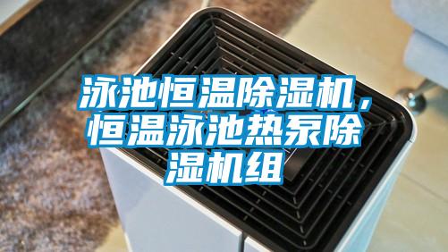 泳池恒溫除濕機，恒溫泳池?zé)岜贸凉駲C組
