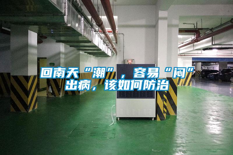 回南天“潮”，容易“悶”出病，該如何防治