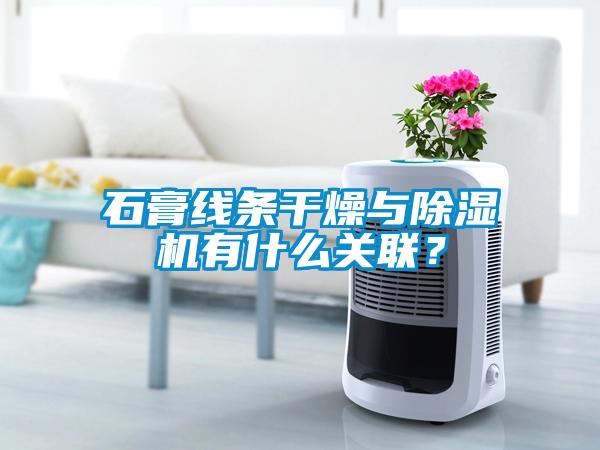 石膏線條干燥與除濕機(jī)有什么關(guān)聯(lián)？