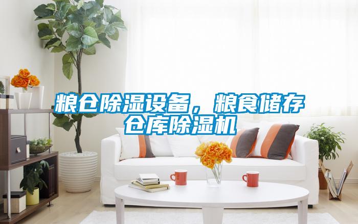 糧倉除濕設(shè)備，糧食儲存?zhèn)}庫除濕機(jī)