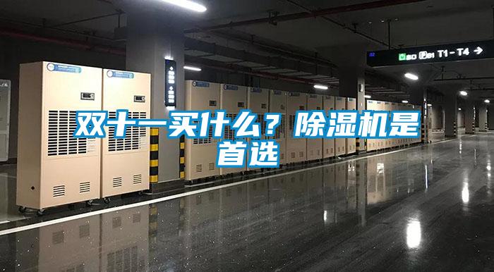 雙十一買什么？除濕機(jī)是首選