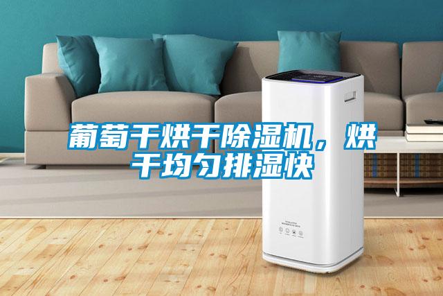 葡萄干烘干除濕機，烘干均勻排濕快