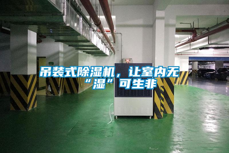 吊裝式除濕機(jī)，讓室內(nèi)無“濕”可生非