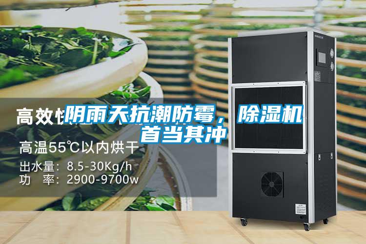 陰雨天抗潮防霉，除濕機(jī)首當(dāng)其沖