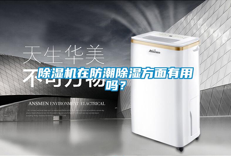 除濕機(jī)在防潮除濕方面有用嗎？