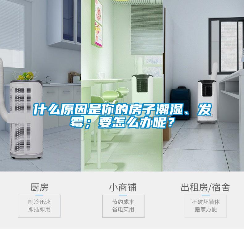 什么原因是你的房子潮濕、發(fā)霉；要怎么辦呢？