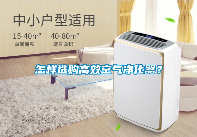 怎樣選購高效空氣凈化器？