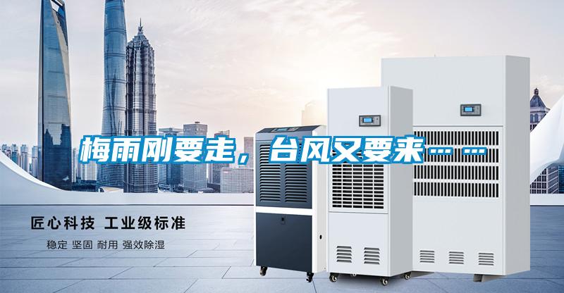梅雨剛要走，臺風(fēng)又要來……