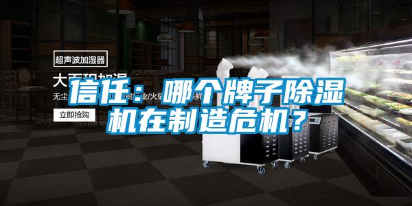 信任：哪個(gè)牌子除濕機(jī)在制造危機(jī)？