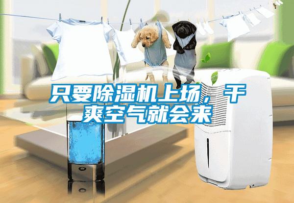 只要除濕機(jī)上場，干爽空氣就會(huì)來