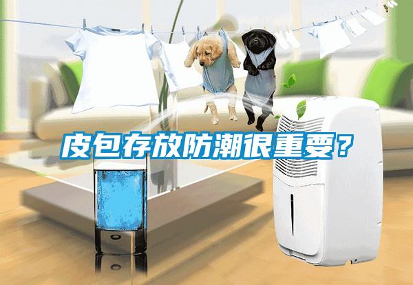 皮包存放防潮很重要？