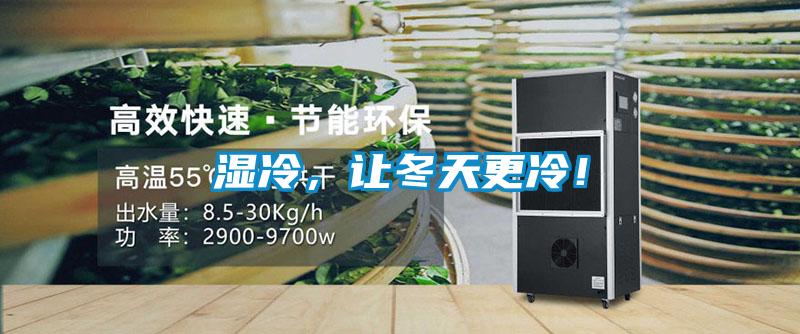 濕冷，讓冬天更冷！