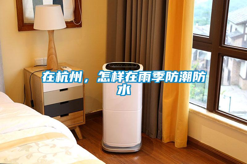 在杭州，怎樣在雨季防潮防水