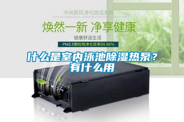 什么是室內泳池除濕熱泵？有什么用