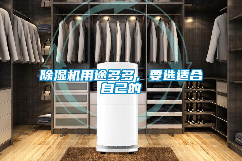 除濕機(jī)用途多多，要選適合自己的