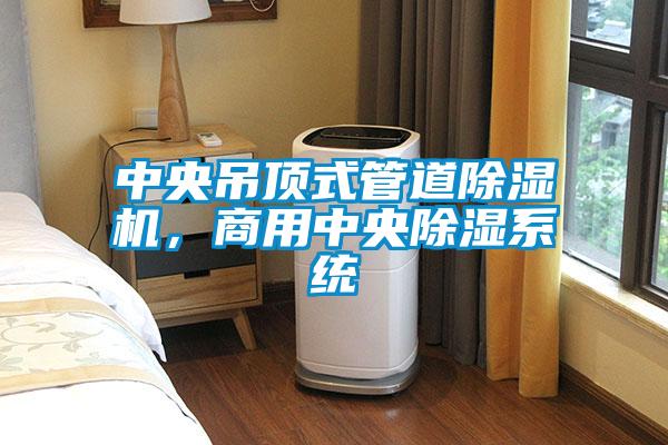 中央吊頂式管道除濕機，商用中央除濕系統(tǒng)