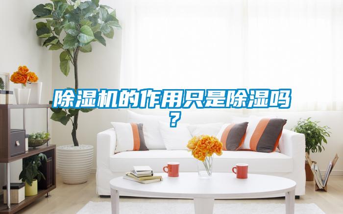 除濕機的作用只是除濕嗎？