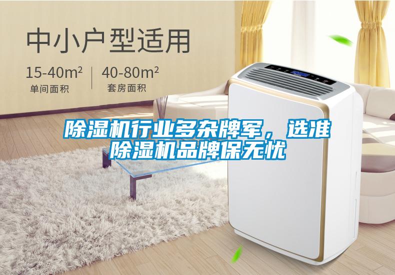 除濕機(jī)行業(yè)多雜牌軍，選準(zhǔn)除濕機(jī)品牌保無(wú)憂