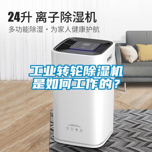 工業(yè)轉(zhuǎn)輪除濕機(jī)是如何工作的？