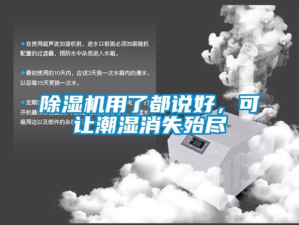 除濕機(jī)用了都說好，可讓潮濕消失殆盡