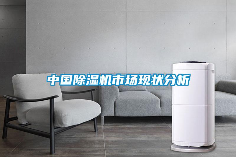 中國除濕機(jī)市場(chǎng)現(xiàn)狀分析