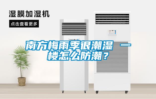 南方梅雨季很潮濕 一樓怎么防潮？