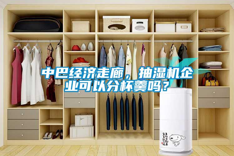 中巴經(jīng)濟(jì)走廊，抽濕機(jī)企業(yè)可以分杯羹嗎？