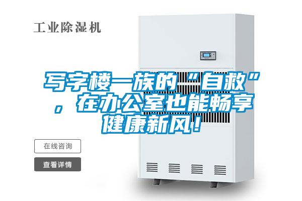 寫字樓一族的“自救”，在辦公室也能暢享健康新風！