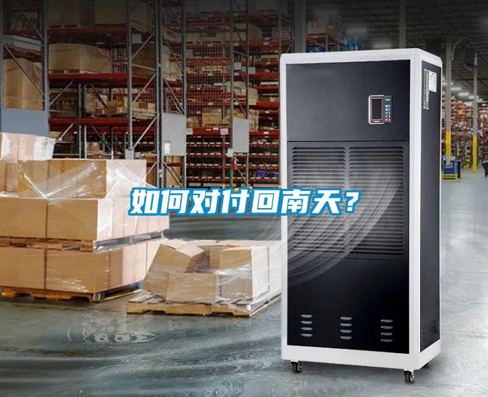 如何對付回南天？