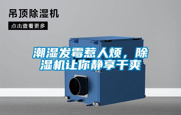 潮濕發(fā)霉惹人煩，除濕機讓你靜享干爽