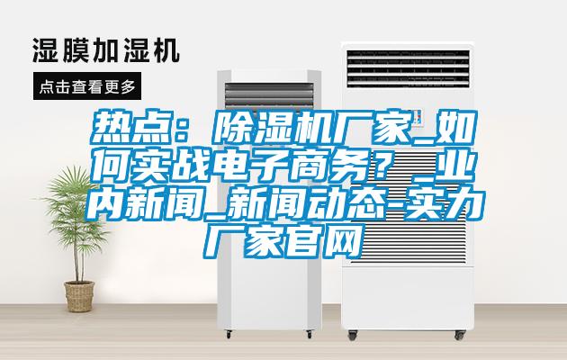 熱點(diǎn)：除濕機(jī)廠家_如何實(shí)戰(zhàn)電子商務(wù)？_業(yè)內(nèi)新聞_新聞動態(tài)-實(shí)力廠家官網(wǎng)
