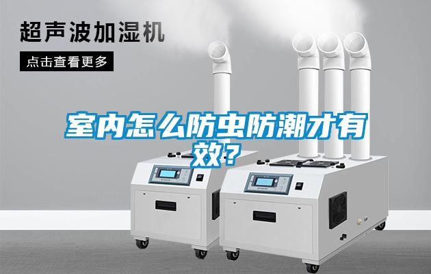 室內(nèi)怎么防蟲防潮才有效？