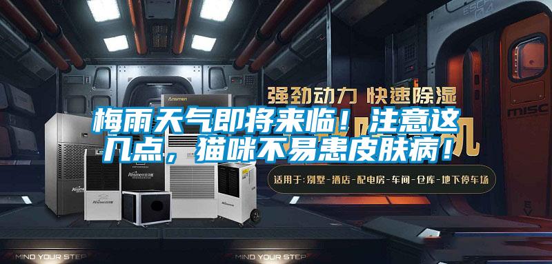 梅雨天氣即將來臨！注意這幾點，貓咪不易患皮膚??！