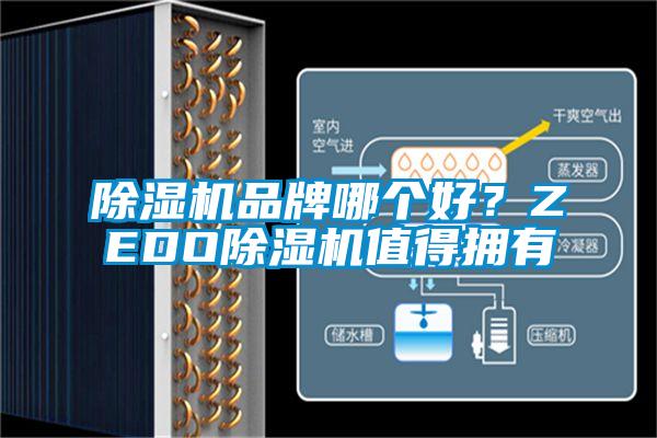 除濕機(jī)品牌哪個(gè)好？ZEDO除濕機(jī)值得擁有