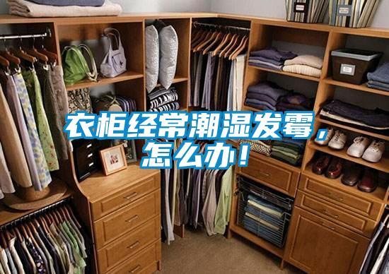 衣柜經(jīng)常潮濕發(fā)霉，怎么辦！