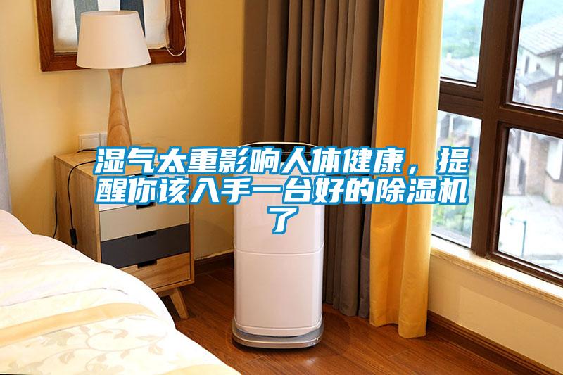 濕氣太重影響人體健康，提醒你該入手一臺(tái)好的除濕機(jī)了