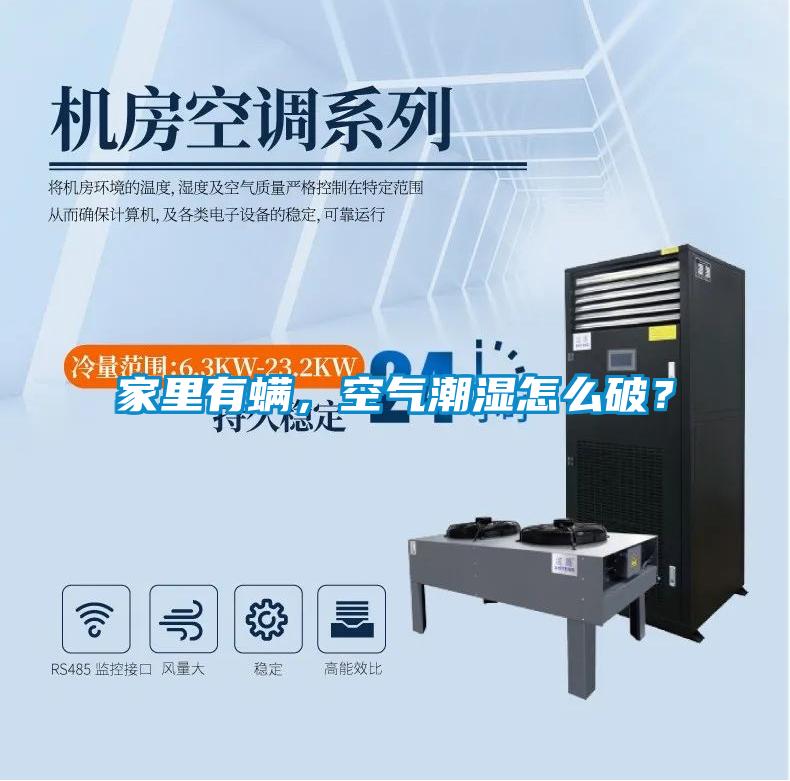 家里有螨，空氣潮濕怎么破？