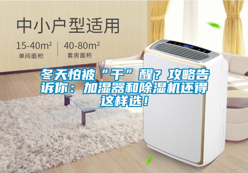 冬天怕被“干”醒？攻略告訴你：加濕器和除濕機還得這樣選！