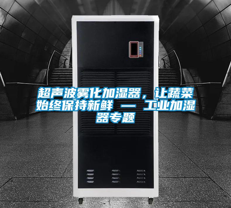 超聲波霧化加濕器，讓蔬菜始終保持新鮮 — 工業(yè)加濕器專題