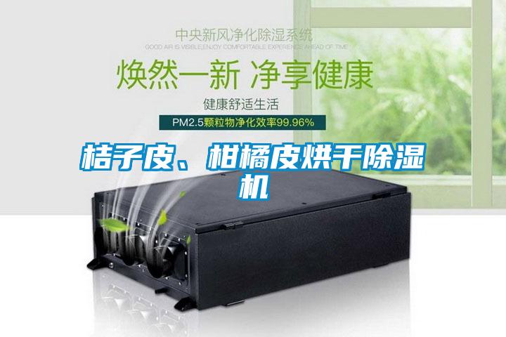 桔子皮、柑橘皮烘干除濕機(jī)