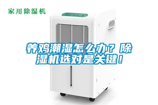 養(yǎng)雞潮濕怎么辦？除濕機(jī)選對是關(guān)鍵！