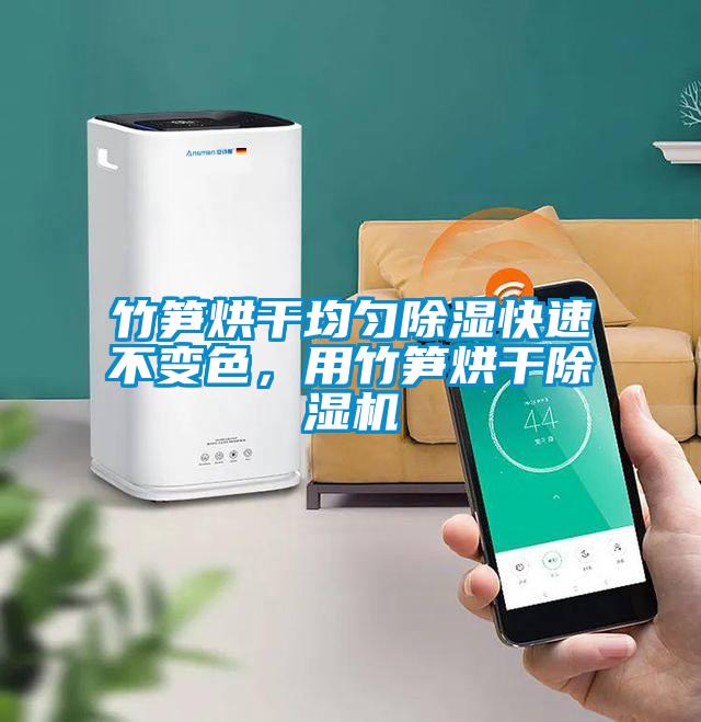 竹筍烘干均勻除濕快速不變色，用竹筍烘干除濕機