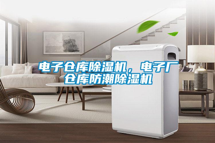 電子倉(cāng)庫(kù)除濕機(jī)，電子廠倉(cāng)庫(kù)防潮除濕機(jī)